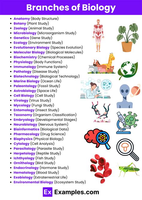 10 Branches Of Biology: A Complete Guide To Life Sciences