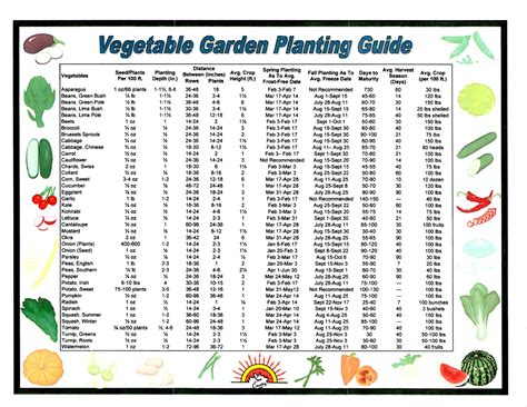 The Ultimate A To Z List Of Garden Vegetables For Beginners