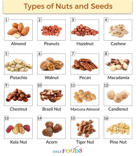 Browse This Comprehensive List Of Nuts And Their Benefits