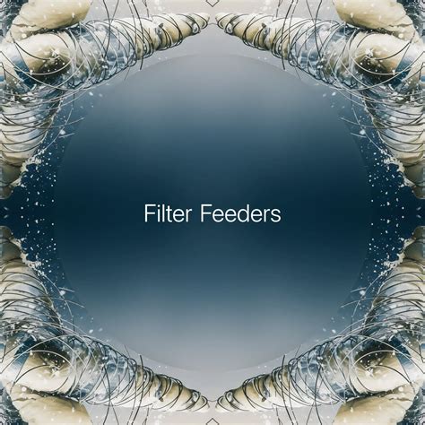 Are Spiders Actually Filter Feeders: What You Need To Know