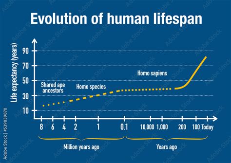 The Average Lifespan Of Early Humans: What Science Tells Us
