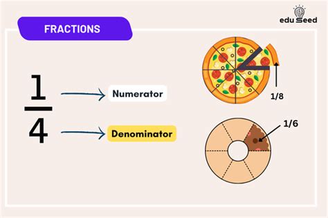 Mastering Fractions: The Ultimate Guide For Beginners