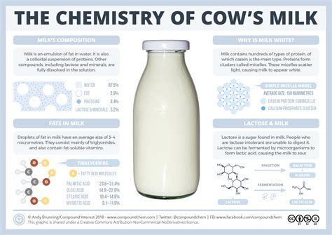 Uncovering The Chemistry Of Milk: The Science Behind Your Glass