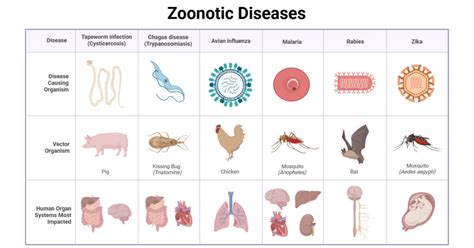 Top Common Diseases In Qatar And How To Prevent Them