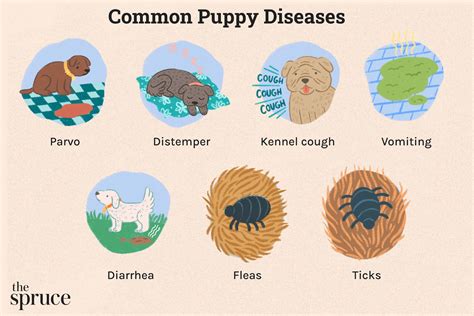 5 Common Diseases Of Puppies Every New Owner Should Know