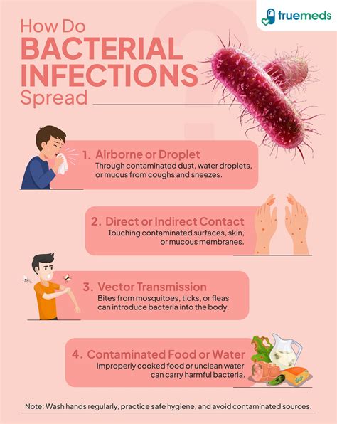 How Do Bacteria Infections Spread: A Simple Guide