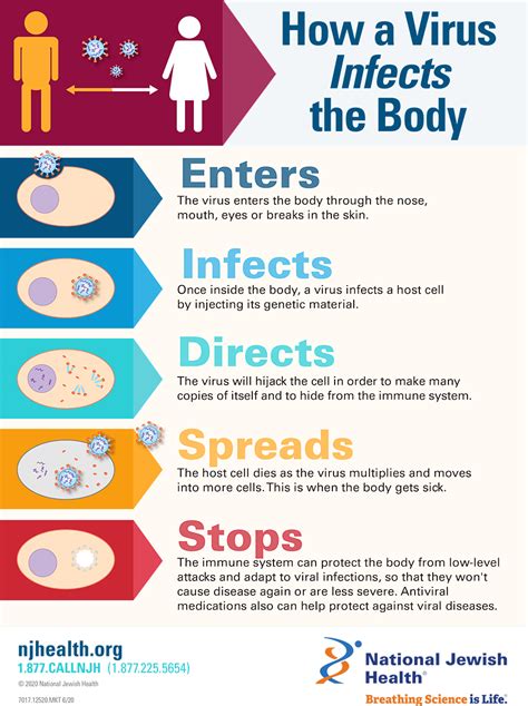 How Do Viruses Infect Your Cells And Symptom Management Secrets