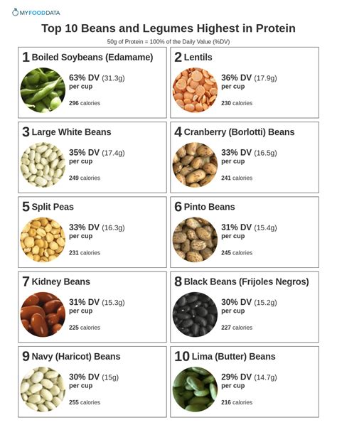 Protein Content Guide: How Much Protein In Beans