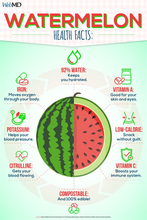 How Much Water Does It Take To Grow The Perfect Watermelon