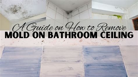 How To Avoid Mold In Bathroom Once And For All