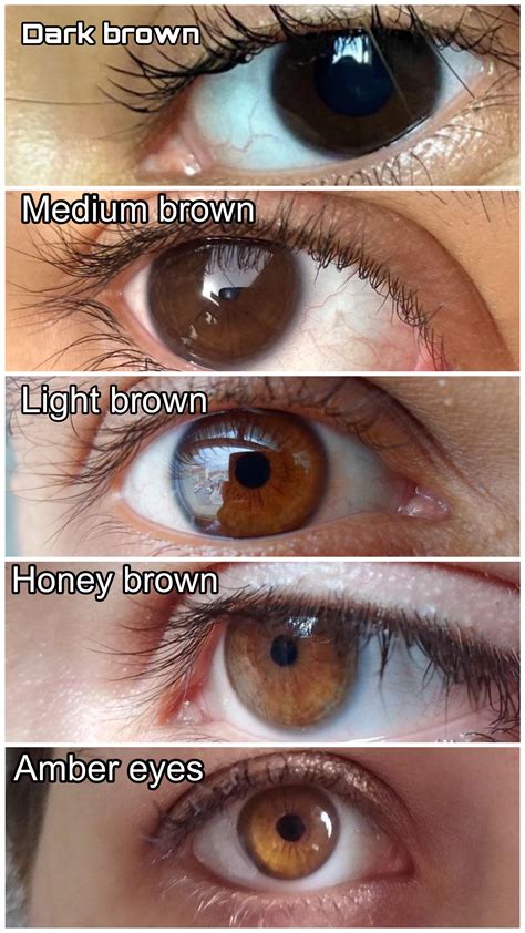I Didn't Know You'd Have Brown Eyes: A Sweet Reason To Look Twice
