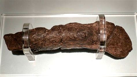Worlds Biggest Poop Video Watch Now