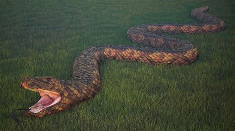Longest Snake In The World Record Revealed