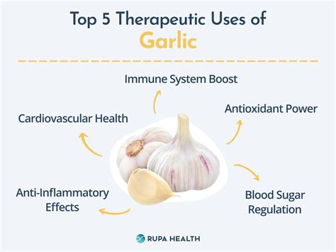 Unlocking The Healing Power Of Garlic: A Natural Medicine Guide