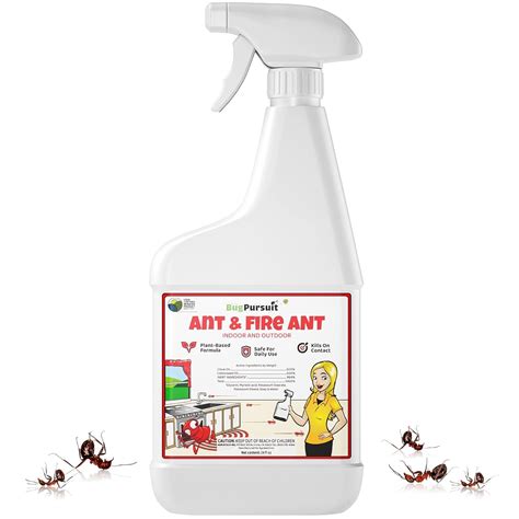 The Best Non Toxic To Pets Ant Killer Options For Your Home