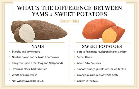 Nutritional Value Of Yams Vs Sweet Potatoes