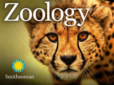 The Science Of Zoology Unveiled