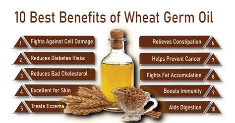 Why Your Routine Needs Wheat Germ Oil For Radiant Skin