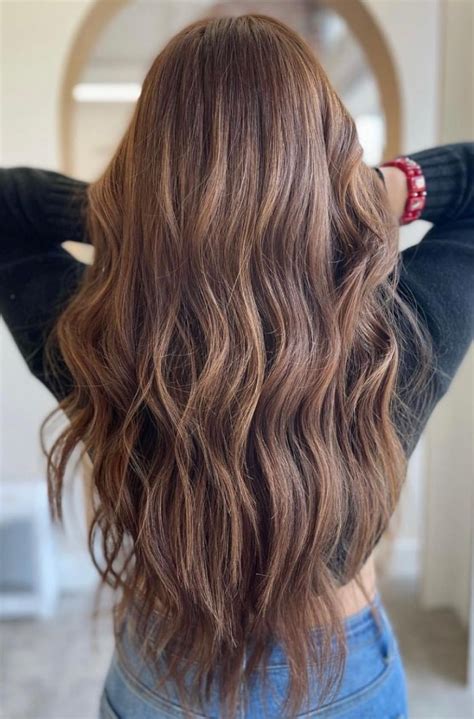Teddy Bear Brown Hair