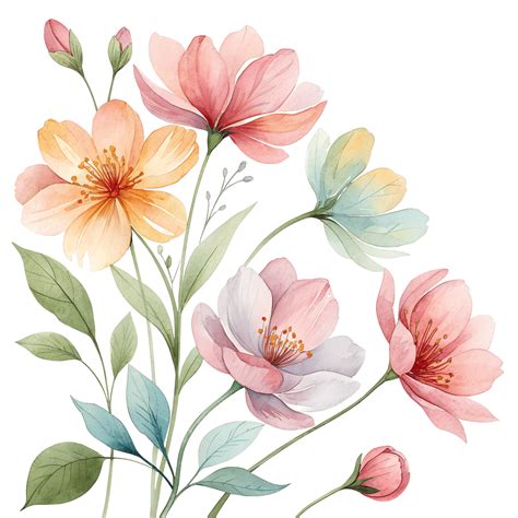 Transparent Flowers