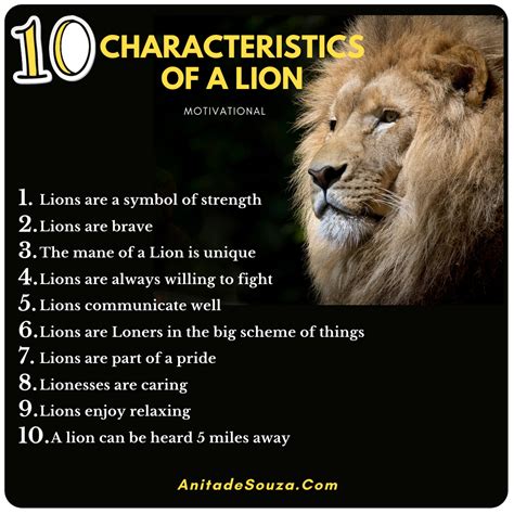 7 Unique Characteristics Of The Lion Only A Hunter Knows