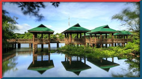 Find The Best Wildlife Spots In Quezon City You Need To Visit